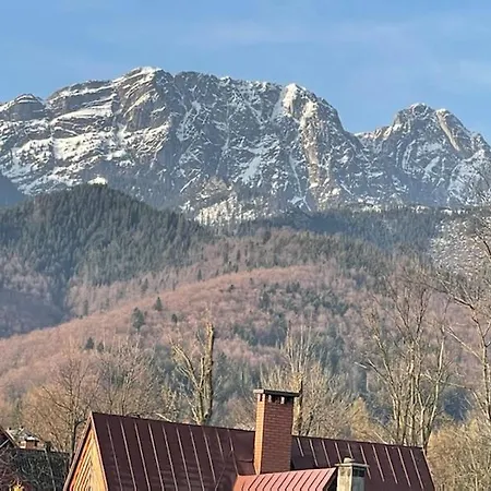 Modrzejewska *