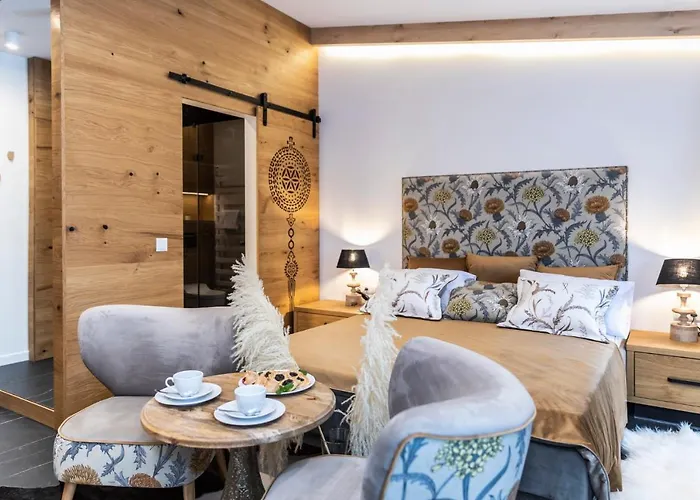 公寓 Modrzejewska 扎科帕内